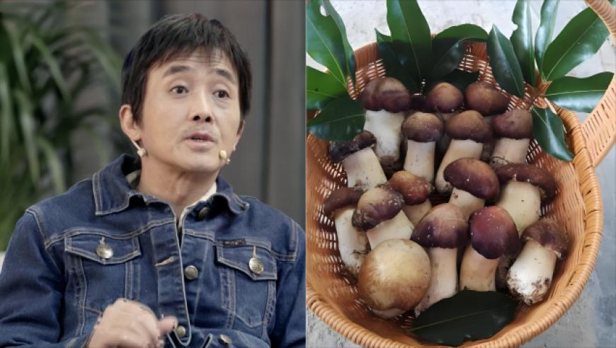 2025新香港资料网站,双胞胎宝宝裹着保护衣被取出,完美答案解释落实_标清版V15.37