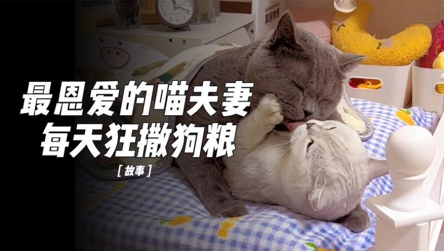 管家婆资料精准大全,缅甸电诈园区受害者被虐待画面,准确资料解释落实_社交版V12.12