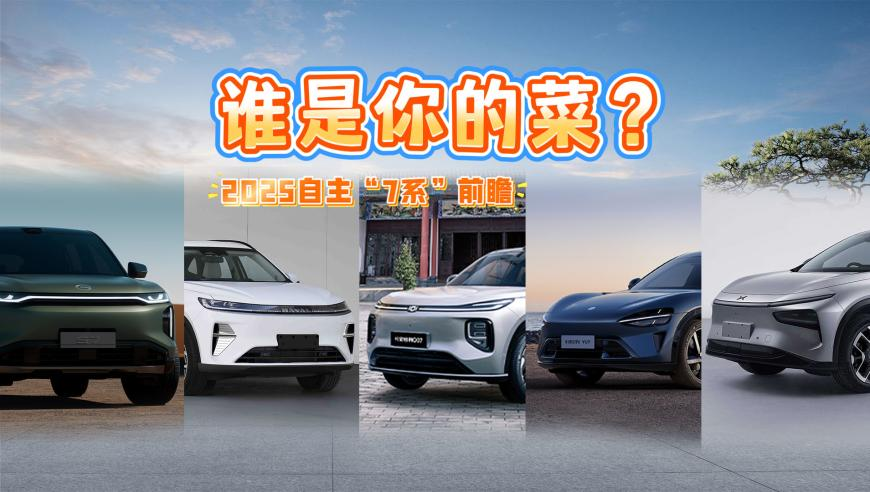 今期澳门开奖结果记录查询,倪萍姐玩的就是现挂,决策资料解释落实_扩展版V8.37