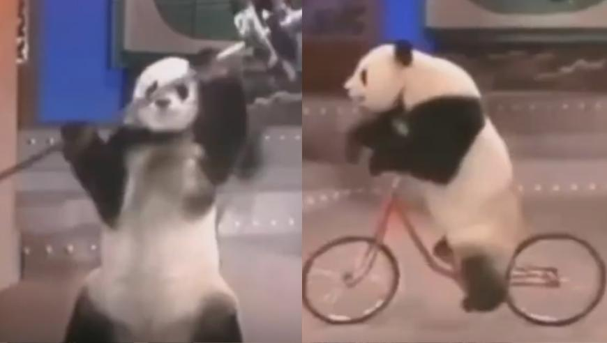 手艺人各显神通为哪吒2应援,管家婆澳门2025年九肖期期中,确保成语解释落实的问题_创新版V11.51