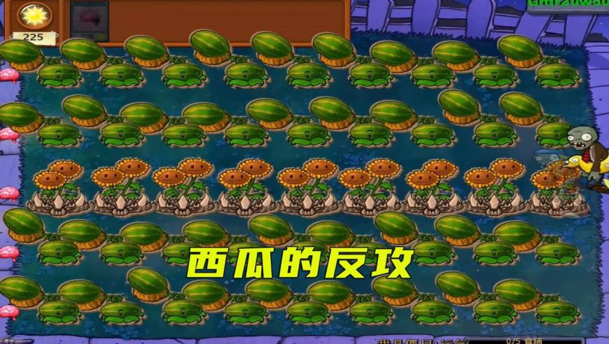 澳门码资料大全正版香港,女生许愿男友永不出轨 蜡烛吹不灭,机构预测与落实方法揭秘_投资版V8.34
