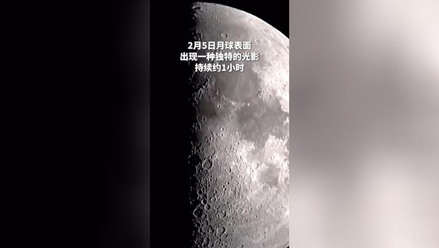 澳门跑狗376969,数百人因天气无法乘机滞留在南极,成语解释落实可能存在的问题_正式版V8.70