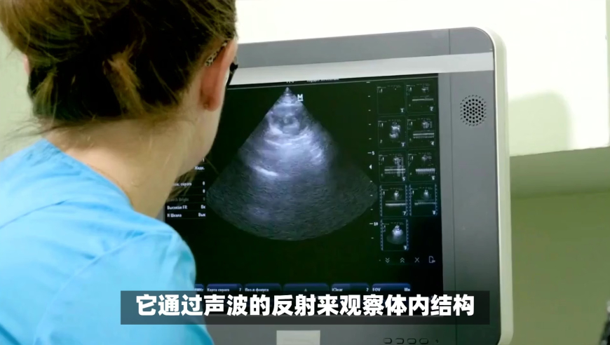 中国男篮86:78战胜关岛男篮,660678王中王免费提供护栏,国产化作答解释落实_高级版V6.100